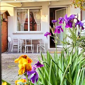https://bolognaholidayhome-appartamento-signorini.emilia-romagnahotels.net